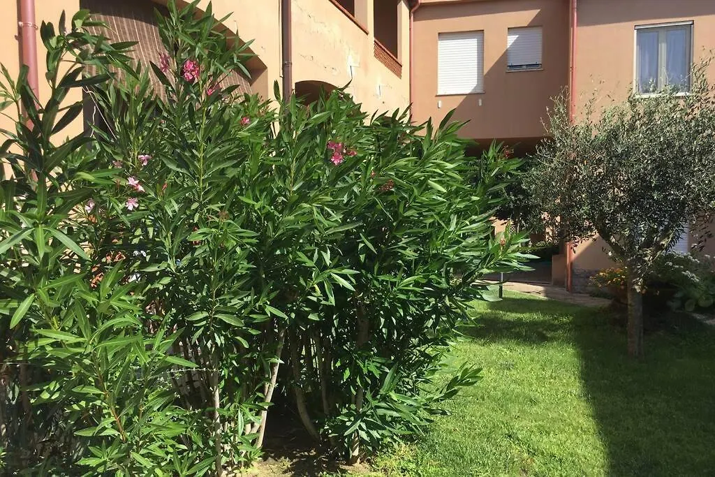 La Chiocciola: Villasimius Self-Check Apartment with Beach Shuttle 0*,